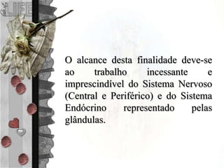 O alcance desta finalidade deve-se
ao trabalho incessante e
imprescindível do Sistema Nervoso
(Central e Periférico) e do Sistema
Endócrino representado pelas
glândulas.
 