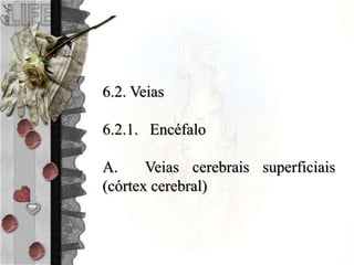 6.2. Veias
6.2.1. Encéfalo
A. Veias cerebrais superficiais
(córtex cerebral)
 
