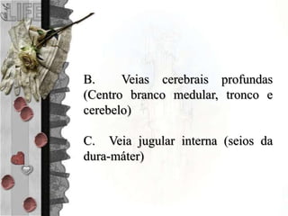 B. Veias cerebrais profundas
(Centro branco medular, tronco e
cerebelo)
C. Veia jugular interna (seios da
dura-máter)
 