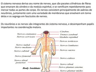 SISTEMA NERVOSO | PPTX