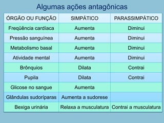 Algumas ações antagônicas
ÓRGÃO OU FUNÇÃO SIMPÁTICO PARASSIMPÁTICO
Freqüência cardíaca Aumenta Diminui
Pressão sanguínea Aumenta Diminui
Metabolismo basal Aumenta Diminui
Atividade mental Aumenta Diminui
Brônquios Dilata Contrai
Pupila Dilata Contrai
Glicose no sangue Aumenta
Glândulas sudoríparas Aumenta a sudorese
Bexiga urinária Relaxa a musculatura Contrai a musculatura
 