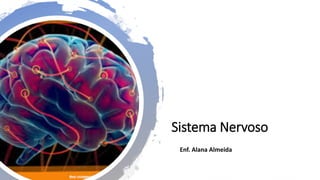 Sistema Nervoso
Enf. Alana Almeida
 