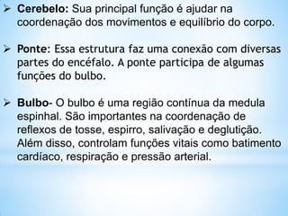  Cerebelo: Sua principal função é ajudar na
coordenação dos movimentos e equilíbrio do corpo.
 Ponte: Essa estrutura faz uma conexão com diversas
partes do encéfalo. A ponte participa de algumas
funções do bulbo.
 Bulbo- O bulbo é uma região contínua da medula
espinhal. São importantes na coordenação de
reflexos de tosse, espirro, salivação e deglutição.
Além disso, controlam funções vitais como batimento
cardíaco, respiração e pressão arterial.
 