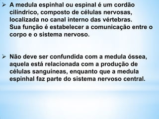  A medula espinhal ou espinal é um cordão
cilíndrico, composto de células nervosas,
localizada no canal interno das vértebras.
Sua função é estabelecer a comunicação entre o
corpo e o sistema nervoso.
 Não deve ser confundida com a medula óssea,
aquela está relacionada com a produção de
células sanguíneas, enquanto que a medula
espinhal faz parte do sistema nervoso central.
 