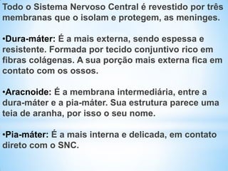 Todo o Sistema Nervoso Central é revestido por três
membranas que o isolam e protegem, as meninges.
•Dura-máter: É a mais externa, sendo espessa e
resistente. Formada por tecido conjuntivo rico em
fibras colágenas. A sua porção mais externa fica em
contato com os ossos.
•Aracnoide: É a membrana intermediária, entre a
dura-máter e a pia-máter. Sua estrutura parece uma
teia de aranha, por isso o seu nome.
•Pia-máter: É a mais interna e delicada, em contato
direto com o SNC.
 