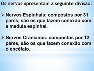 Os nervos apresentam a seguinte divisão:
 Nervos Espinhais: compostos por 31
pares, são os que fazem conexão com
a medula espinhal.
 Nervos Cranianos: compostos por 12
pares, são os que fazem conexão com
o encéfalo.
 