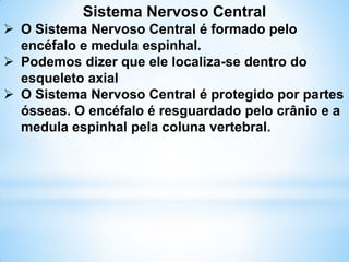 Sistema Nervoso Central
 O Sistema Nervoso Central é formado pelo
encéfalo e medula espinhal.
 Podemos dizer que ele localiza-se dentro do
esqueleto axial
 O Sistema Nervoso Central é protegido por partes
ósseas. O encéfalo é resguardado pelo crânio e a
medula espinhal pela coluna vertebral.
 