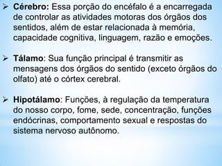  Cérebro: Essa porção do encéfalo é a encarregada
de controlar as atividades motoras dos órgãos dos
sentidos, além de estar relacionada à memória,
capacidade cognitiva, linguagem, razão e emoções.
 Tálamo: Sua função principal é transmitir as
mensagens dos órgãos do sentido (exceto órgãos do
olfato) até o córtex cerebral.
 Hipotálamo: Funções, à regulação da temperatura
do nosso corpo, fome, sede, concentração, funções
endócrinas, comportamento sexual e respostas do
sistema nervoso autônomo.
 