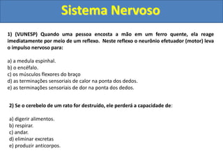 Sistema Nervoso
1) (VUNESP) Quando uma pessoa encosta a mão em um ferro quente, ela reage
imediatamente por meio de um reflexo. Neste reflexo o neurônio efetuador (motor) leva
o impulso nervoso para:
a) a medula espinhal.
b) o encéfalo.
c) os músculos flexores do braço
d) as terminações sensoriais de calor na ponta dos dedos.
e) as terminações sensoriais de dor na ponta dos dedos.
2) Se o cerebelo de um rato for destruído, ele perderá a capacidade de:
a) digerir alimentos.
b) respirar.
c) andar.
d) eliminar excretas
e) produzir anticorpos.
 