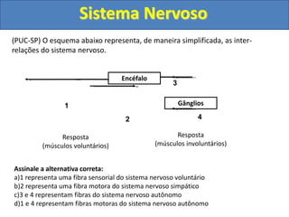 Sistema Nervoso
(PUC-SP) O esquema abaixo representa, de maneira simplificada, as inter-
relações do sistema nervoso.
Encéfalo
Gânglios
1
2
3
4
Resposta
(músculos voluntários)
Resposta
(músculos involuntários)
Assinale a alternativa correta:
a)1 representa uma fibra sensorial do sistema nervoso voluntário
b)2 representa uma fibra motora do sistema nervoso simpático
c)3 e 4 representam fibras do sistema nervoso autônomo
d)1 e 4 representam fibras motoras do sistema nervoso autônomo
 