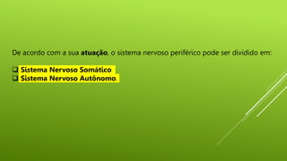 De acordo com a sua atuação, o sistema nervoso periférico pode ser dividido em:
 Sistema Nervoso Somático
 Sistema Nervoso Autônomo.
 