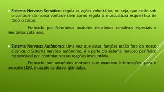  Sistema Nervoso Somático: regula as ações voluntárias, ou seja, que estão sob
o controle da nossa vontade bem como regula a musculatura esquelética de
todo o corpo.
Formado por Neurônios motores, neurônios sensitivos especiais e
neurônios cutâneos.
 Sistema Nervoso Autônomo: Uma vez que essas funções estão fora do nosso
alcance, o Sistema nervoso autônomo, é a parte do sistema nervoso periférico
responsável por controlar nossas reações involuntária.
Formado por neurônios motores que mandam informações para o
musculo LISO, musculo cardíaco, glândulas.
 