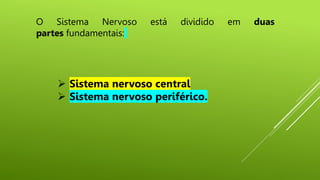 O Sistema Nervoso está dividido em duas
partes fundamentais:
 Sistema nervoso central
 Sistema nervoso periférico.
 