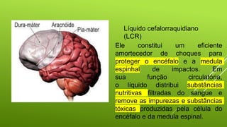 Líquido cefalorraquidiano
(LCR)
Ele constitui um eficiente
amortecedor de choques para
proteger o encéfalo e a medula
espinhal de impactos. Em
sua função circulatória,
o líquido distribui substâncias
nutritivas filtradas do sangue e
remove as impurezas e substâncias
tóxicas produzidas pela célula do
encéfalo e da medula espinal.
 