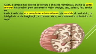 Assim, a camada mais externa do cérebro e cheia de reentrâncias, chama-se córtex
cerebral. Responsável pelo pensamento, visão, audição, tato, paladar, fala, escrita,
etc.
Ainda é sede dos atos conscientes e inconscientes, da memória, do raciocínio, da
inteligência e da imaginação, e controla ainda, os movimentos voluntários do
corpo.
 