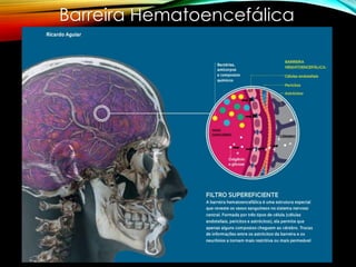 Barreira Hematoencefálica
 