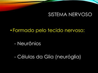 SISTEMA NERVOSO
•Formado pelo tecido nervoso:
- Neurônios
- Células da Glia (neuróglia)
 