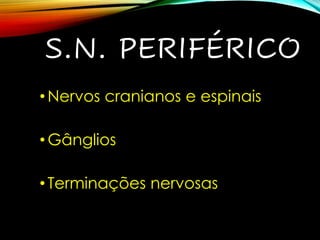S.N. PERIFÉRICO
•Nervos cranianos e espinais
•Gânglios
•Terminações nervosas
 
