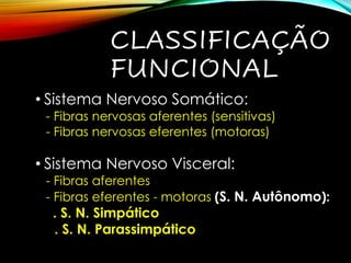 CLASSIFICAÇÃO
FUNCIONAL
• Sistema Nervoso Somático:
- Fibras nervosas aferentes (sensitivas)
- Fibras nervosas eferentes (motoras)
• Sistema Nervoso Visceral:
- Fibras aferentes
- Fibras eferentes - motoras (S. N. Autônomo):
. S. N. Simpático
. S. N. Parassimpático
 
