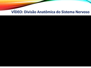 VÍDEO: Divisão Anatômica do Sistema Nervoso
 
