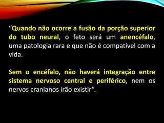 “Quando não ocorre a fusão da porção superior
do tubo neural, o feto será um anencéfalo,
uma patologia rara e que não é compatível com a
vida.
Sem o encéfalo, não haverá integração entre
sistema nervoso central e periférico, nem os
nervos cranianos irão existir”.
 