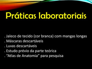 Práticas laboratoriais
. Jaleco de tecido (cor branca) com mangas longas
. Máscaras descartáveis
. Luvas descartáveis
. Estudo prévio da parte teórica
. “Atlas de Anatomia” para pesquisa
 