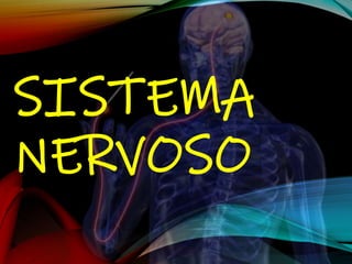 SISTEMA
NERVOSO
 