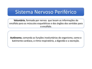 Autônomo, comanda as funções involuntárias do organismo, como o
batimento cardíaco, o ritmo respiratório, a digestão e a excreção.
Ciências, 8º ano
Sistema nervoso e as principais doenças
Voluntário, formado por nervos que levam as informações do
encéfalo para os músculos esqueléticos e dos órgãos dos sentidos para
o encéfalo.
Sistema Nervoso Periférico
 