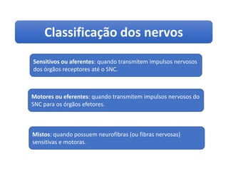 Classificação dos nervos
Ciências, 8º ano
Sistema nervoso e as principais doenças
Sensitivos ou aferentes: quando transmitem impulsos nervosos
dos órgãos receptores até o SNC.
Motores ou eferentes: quando transmitem impulsos nervosos do
SNC para os órgãos efetores.
Mistos: quando possuem neurofibras (ou fibras nervosas)
sensitivas e motoras.
 
