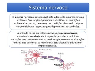 Sistema nervoso
O sistema nervoso é responsável pela adaptação do organismo ao
ambiente. Sua função é perceber e identificar as condições
ambientais externas, bem como as condições dentro do próprio
corpo e elaborar respostas que adaptem a essas condições.
A unidade básica do sistema nervoso é a célula nervosa,
denominada neurônio; ela é capaz de perceber as mínimas
variações que ocorrem em torno de si, reagindo com uma alteração
elétrica que percorre sua membrana. Essa alteração elétrica é o
impulso nervoso.
 