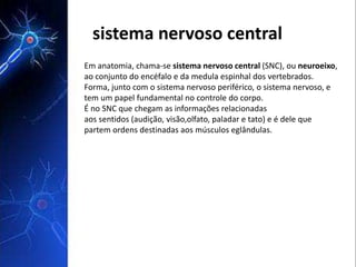 sistema nervoso central 
Em anatomia, chama-se sistema nervoso central (SNC), ou neuroeixo, 
ao conjunto do encéfalo e da medula espinhal dos vertebrados. 
Forma, junto com o sistema nervoso periférico, o sistema nervoso, e 
tem um papel fundamental no controle do corpo. 
É no SNC que chegam as informações relacionadas 
aos sentidos (audição, visão,olfato, paladar e tato) e é dele que 
partem ordens destinadas aos músculos eglândulas. 
 