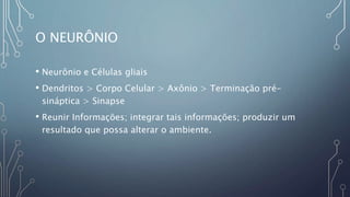 O NEURÔNIO
• Neurônio e Células gliais
• Dendritos > Corpo Celular > Axônio > Terminação pré-
sináptica > Sinapse
• Reunir Informações; integrar tais informações; produzir um
resultado que possa alterar o ambiente.
 