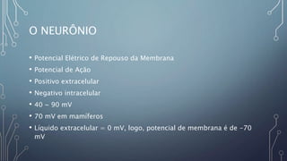 O NEURÔNIO
• Potencial Elétrico de Repouso da Membrana
• Potencial de Ação
• Positivo extracelular
• Negativo intracelular
• 40 ~ 90 mV
• 70 mV em mamíferos
• Líquido extracelular = 0 mV, logo, potencial de membrana é de -70
mV
 