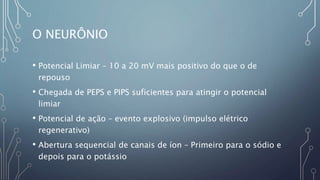 O NEURÔNIO
• Potencial Limiar – 10 a 20 mV mais positivo do que o de
repouso
• Chegada de PEPS e PIPS suficientes para atingir o potencial
limiar
• Potencial de ação – evento explosivo (impulso elétrico
regenerativo)
• Abertura sequencial de canais de íon – Primeiro para o sódio e
depois para o potássio
 