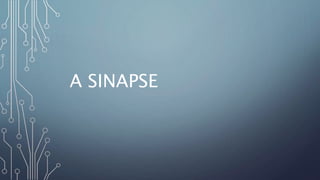 A SINAPSE
 