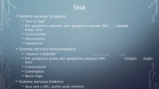 SNA
• Sistema nervoso Simpático
• “luta ou fuga”
• Pré-ganglionar pequeno, pós-ganglionar grande (SNC Gânglio
órgão-alvo)
• Toracolombar
• Adrenérgicos
• Hipotálamo
• Sistema nervoso Parassimpático
• “repouso e digestão”
• Pré-ganglionar grane, pós-ganglionar pequeno (SNC Gânglio órgão-
alvo)
• Craniossacral
• Colinérgicos
• Nervo Vago
• Sistema nervoso Entérico
• Atua sem o SNC, porém pode interferir
 