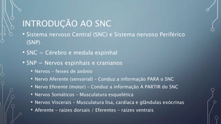 INTRODUÇÃO AO SNC
• Sistema nervoso Central (SNC) e Sistema nervoso Periférico
(SNP)
• SNC = Cérebro e medula espinhal
• SNP = Nervos espinhais e cranianos
• Nervos – feixes de axônio
• Nervo Aferente (sensorial) – Conduz a informação PARA o SNC
• Nervo Eferente (motor) – Conduz a informação A PARTIR do SNC
• Nervos Somáticos – Musculatura esquelética
• Nervos Viscerais – Musculatura lisa, cardíaca e glândulas exócrinas
• Aferente – raízes dorsais / Eferentes – raízes ventrais
 