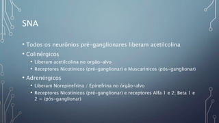 SNA
• Todos os neurônios pré-ganglionares liberam acetilcolina
• Colinérgicos
• Liberam acetilcolina no orgão-alvo
• Receptores Nicotínicos (pré-ganglionar) e Muscarínicos (pós-ganglionar)
• Adrenérgicos
• Liberam Norepinefrina / Epinefrina no órgão-alvo
• Receptores Nicotínicos (pré-ganglionar) e receptores Alfa 1 e 2; Beta 1 e
2 = (pós-ganglionar)
 