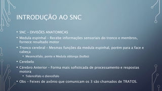 INTRODUÇÃO AO SNC
• SNC – DIVISÕES ANATOMICAS
• Medula espinhal – Recebe informações sensoriais do tronco e membros,
fornece resultado motor
• Tronco cerebral – Mesmas funções da medula espinhal, porém para a face e
cabeça
• Mesencéfalo, ponte e Medula oblonga (bulbo)
• Cerebelo
• Cérebro Anterior – Forma mais sofisticada de processamento e respostas
motora
• Telencéfalo e diencéfalo
• Obs – Feixes de axônio que comunicam os 3 são chamados de TRATOS.
 