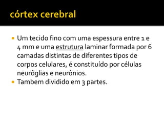  Um tecido fino com uma espessura entre 1 e 
4 mm e uma estrutura laminar formada por 6 
camadas distintas de diferentes tipos de 
corpos celulares, é constituído por células 
neurôglias e neurônios. 
 Tambem dividido em 3 partes. 
 