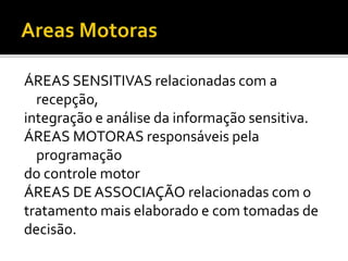ÁREAS SENSITIVAS relacionadas com a 
recepção, 
integração e análise da informação sensitiva. 
ÁREAS MOTORAS responsáveis pela 
programação 
do controle motor 
ÁREAS DE ASSOCIAÇÃO relacionadas com o 
tratamento mais elaborado e com tomadas de 
decisão. 
 