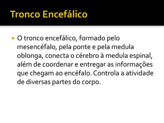  O tronco encefálico, formado pelo 
mesencéfalo, pela ponte e pela medula 
oblonga, conecta o cérebro à medula espinal, 
além de coordenar e entregar as informações 
que chegam ao encéfalo. Controla a atividade 
de diversas partes do corpo. 
 