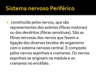  constituído pelos nervos, que são 
representantes dos axônios (fibras motoras) 
ou dos dendritos (fibras sensitivas). São as 
fibras nervosas dos nervos que fazem a 
ligação dos diversos tecidos do organismo 
com o sistema nervoso central. É composto 
pelos nervos espinhais e cranianos. Os nervos 
espinhais se originam na medula e os 
cranianos no encéfalo. 
 