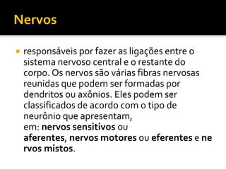  responsáveis por fazer as ligações entre o 
sistema nervoso central e o restante do 
corpo. Os nervos são várias fibras nervosas 
reunidas que podem ser formadas por 
dendritos ou axônios. Eles podem ser 
classificados de acordo com o tipo de 
neurônio que apresentam, 
em: nervos sensitivos ou 
aferentes, nervos motores ou eferentes e ne 
rvos mistos. 
 