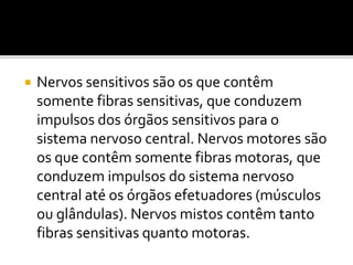  Nervos sensitivos são os que contêm 
somente fibras sensitivas, que conduzem 
impulsos dos órgãos sensitivos para o 
sistema nervoso central. Nervos motores são 
os que contêm somente fibras motoras, que 
conduzem impulsos do sistema nervoso 
central até os órgãos efetuadores (músculos 
ou glândulas). Nervos mistos contêm tanto 
fibras sensitivas quanto motoras. 
 