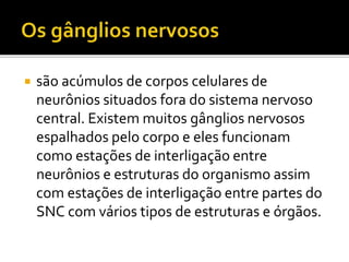  são acúmulos de corpos celulares de 
neurônios situados fora do sistema nervoso 
central. Existem muitos gânglios nervosos 
espalhados pelo corpo e eles funcionam 
como estações de interligação entre 
neurônios e estruturas do organismo assim 
com estações de interligação entre partes do 
SNC com vários tipos de estruturas e órgãos. 
 