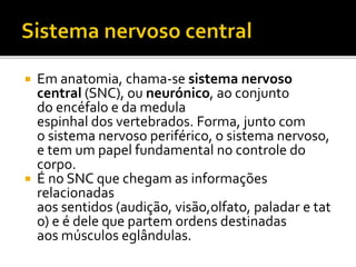  Em anatomia, chama-se sistema nervoso 
central (SNC), ou neurónico, ao conjunto 
do encéfalo e da medula 
espinhal dos vertebrados. Forma, junto com 
o sistema nervoso periférico, o sistema nervoso, 
e tem um papel fundamental no controle do 
corpo. 
 É no SNC que chegam as informações 
relacionadas 
aos sentidos (audição, visão,olfato, paladar e tat 
o) e é dele que partem ordens destinadas 
aos músculos eglândulas. 
 