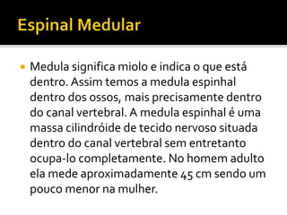  Medula significa miolo e indica o que está 
dentro. Assim temos a medula espinhal 
dentro dos ossos, mais precisamente dentro 
do canal vertebral. A medula espinhal é uma 
massa cilindróide de tecido nervoso situada 
dentro do canal vertebral sem entretanto 
ocupa-lo completamente. No homem adulto 
ela mede aproximadamente 45 cm sendo um 
pouco menor na mulher. 
 