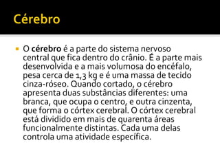  O cérebro é a parte do sistema nervoso 
central que fica dentro do crânio. É a parte mais 
desenvolvida e a mais volumosa do encéfalo, 
pesa cerca de 1,3 kg e é uma massa de tecido 
cinza-róseo. Quando cortado, o cérebro 
apresenta duas substâncias diferentes: uma 
branca, que ocupa o centro, e outra cinzenta, 
que forma o córtex cerebral. O córtex cerebral 
está dividido em mais de quarenta áreas 
funcionalmente distintas. Cada uma delas 
controla uma atividade específica. 
 