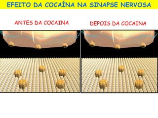 EFEITO DA COCAÍNA NA SINAPSE NERVOSA
ANTES DA COCAINA DEPOIS DA COCAINA
 